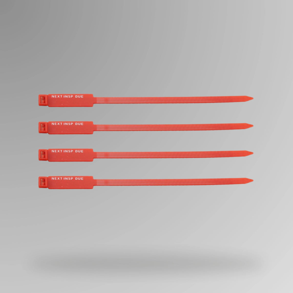 Red BST 201 Next Inspection Due rigging tag shown upright with visible text field for recording inspection dates