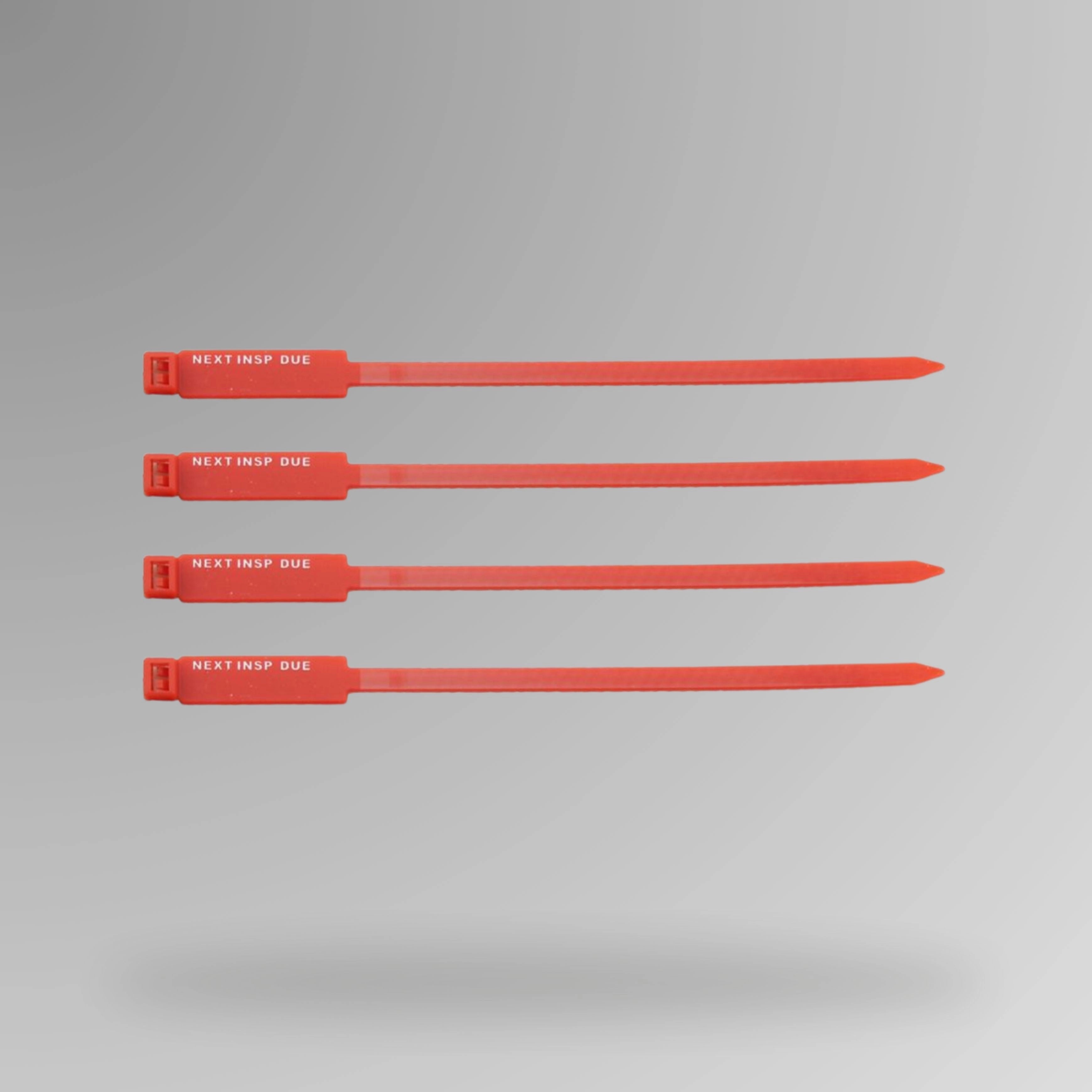 Red BST 201 Next Inspection Due rigging tag shown upright with visible text field for recording inspection dates