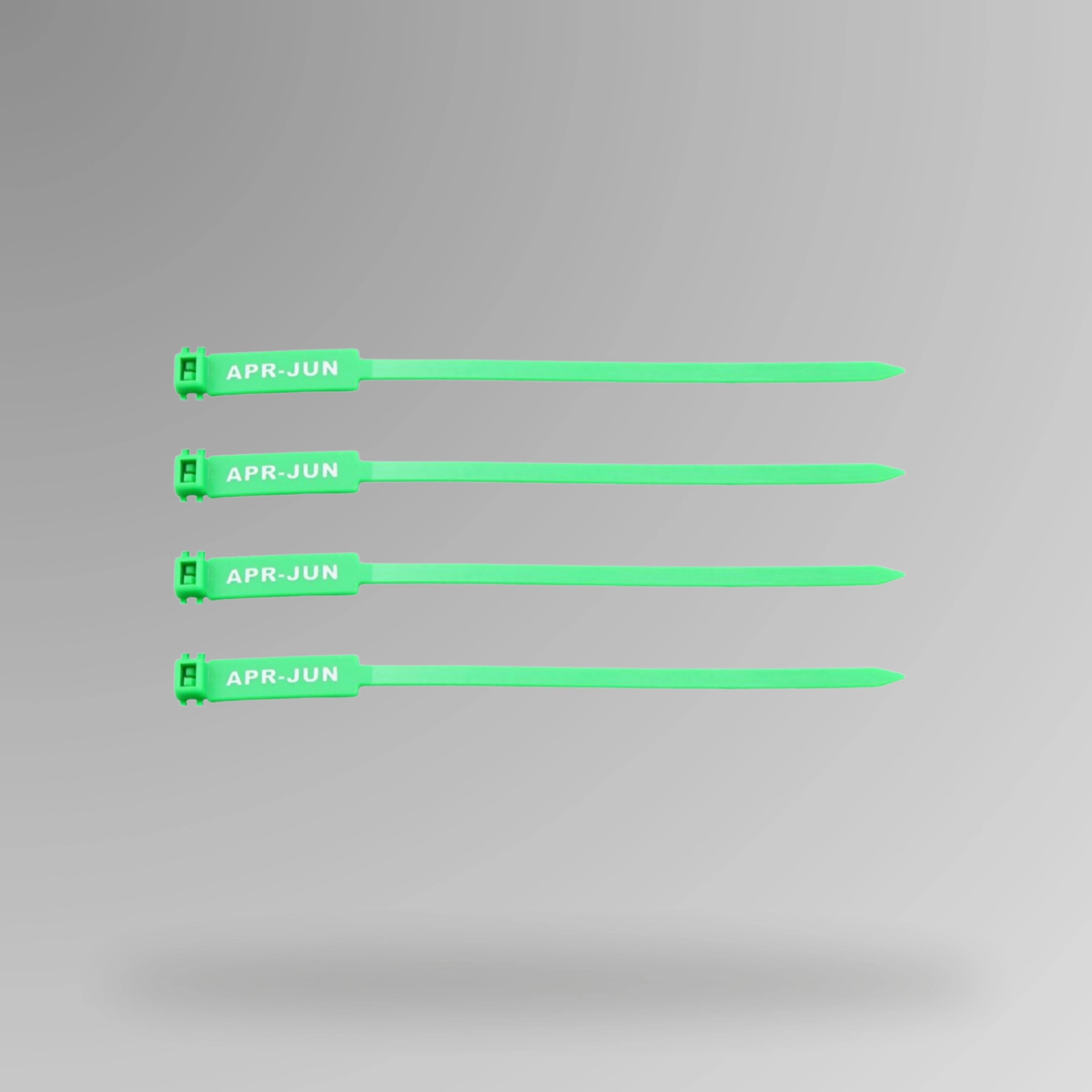 Green BST 206 Apr to Jun quarterly rigging inspection tag displayed upright with quarter period visible