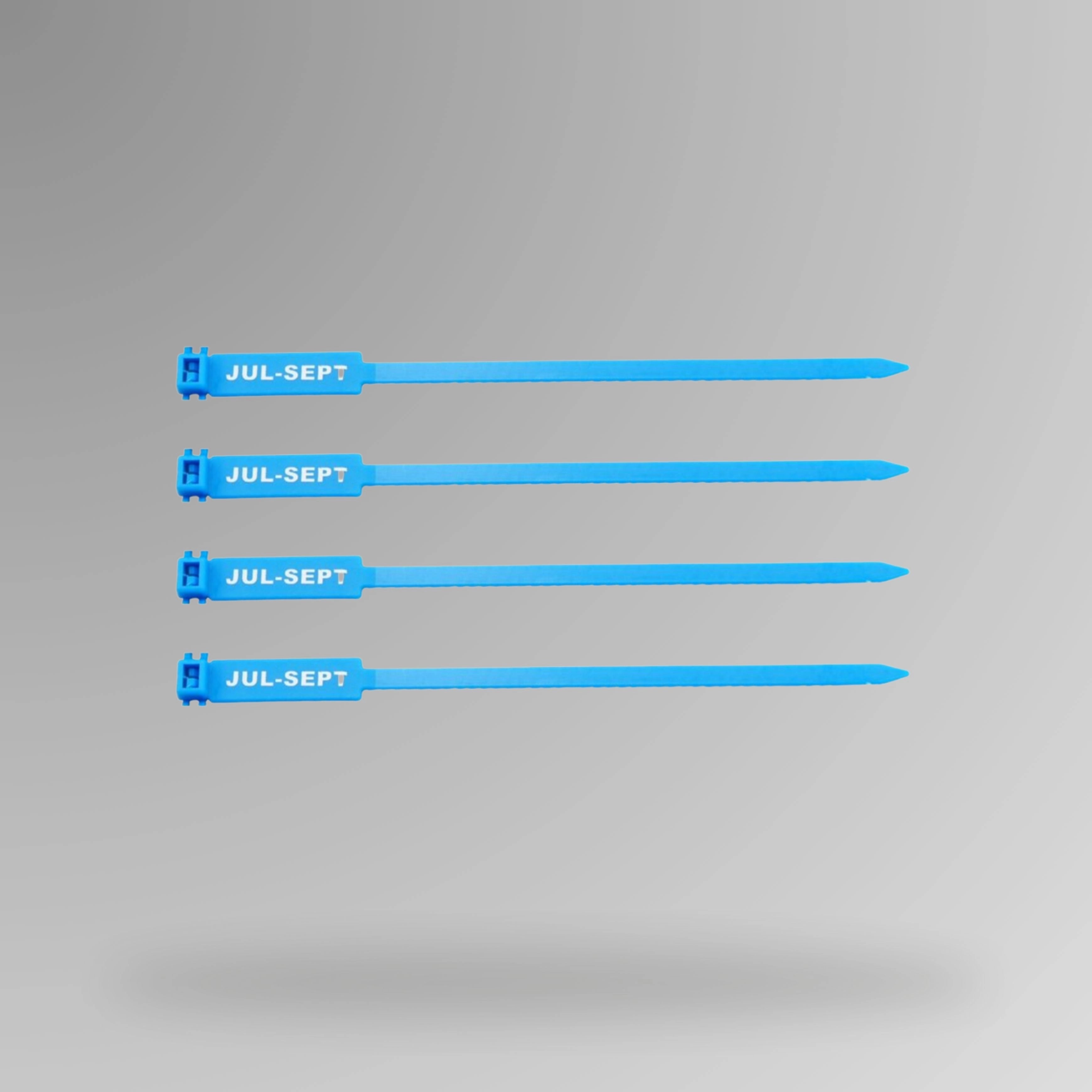 Blue BST 207 Jul to Sep quarterly rigging inspection tag shown upright with third quarter marking visible